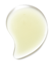 Load image into Gallery viewer, Alpine Arnica Bath & Body Oil